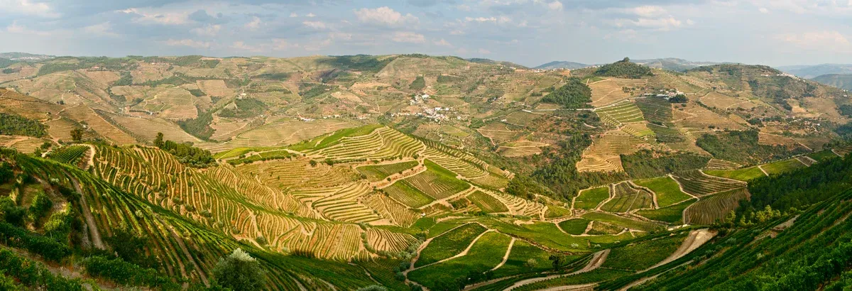 Douro wine region vineyard terraces seen on a Douro Valley wine tour from Porto