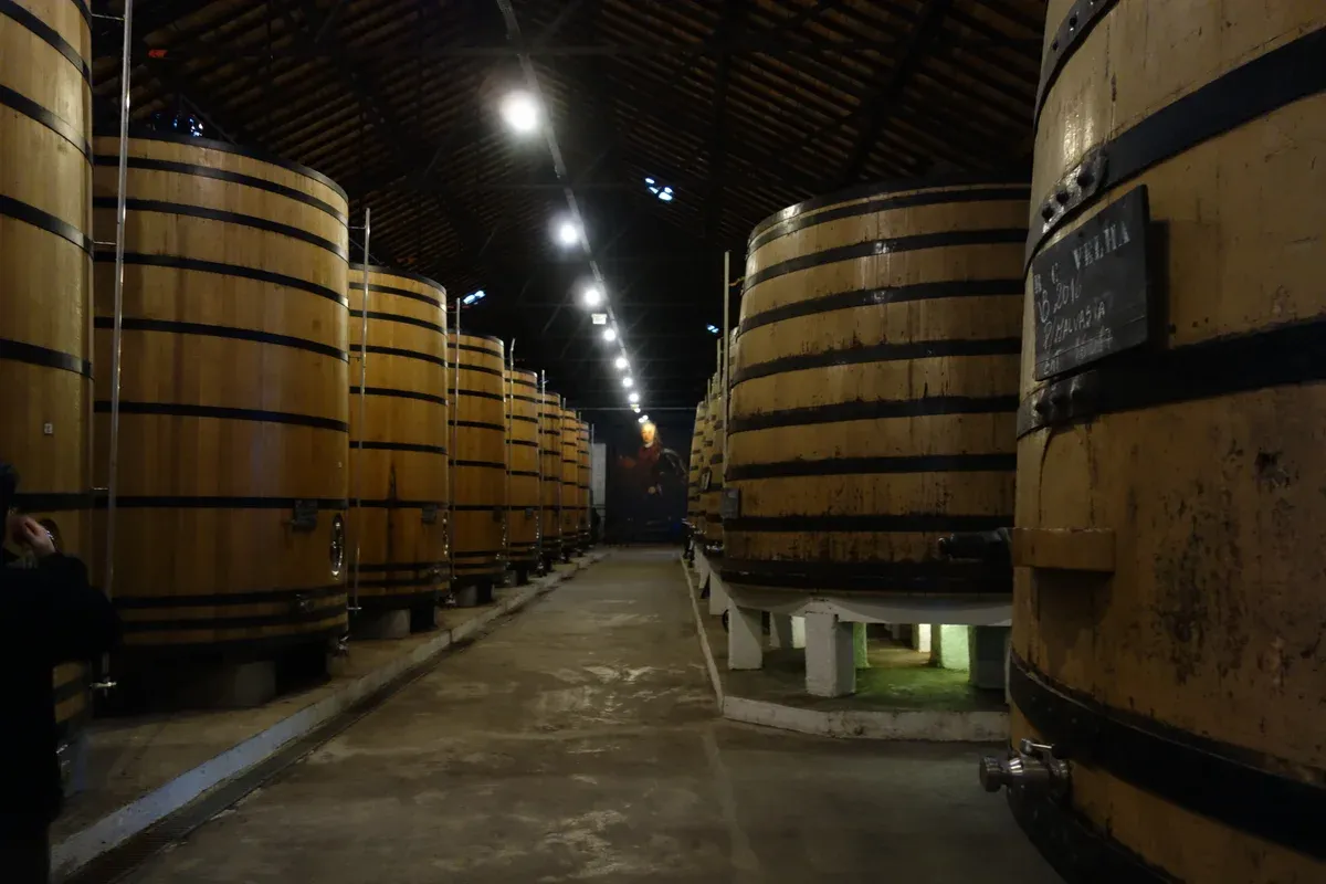 Oak tun in the Real Companhia Velha cellars on a Real Companhia Velha cellar tour in Vila Nova de Gaia