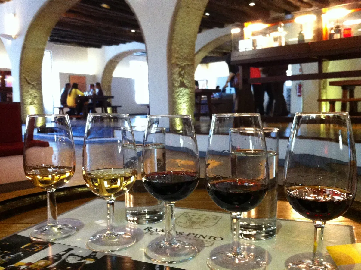 Row of port glasses laid out for a port and Douro wine tasting tour in Vila Nova de Gaia, Porto
