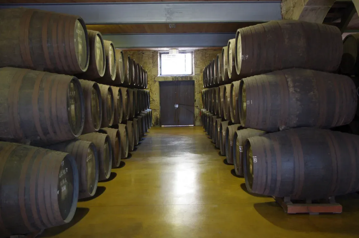 Cask-lined aisle in a Gaia port cellar on a three-cellar port wine cellars tour in Porto